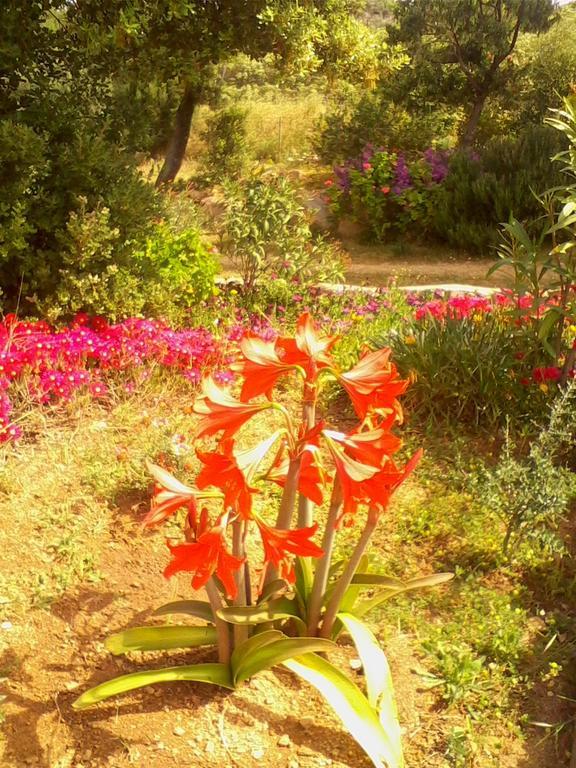 Farm Stay Gli Oleandri Loiri Porto San Paolo Exterior photo